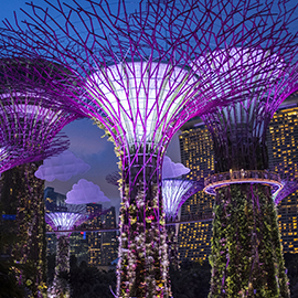 bibby opens in Singapore 2012